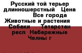 Русский той-терьер длинношерстный › Цена ­ 7 000 - Все города Животные и растения » Собаки   . Татарстан респ.,Набережные Челны г.